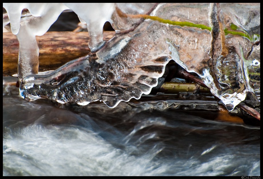 >> eagle in ice <<