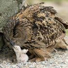 Eagle-owl