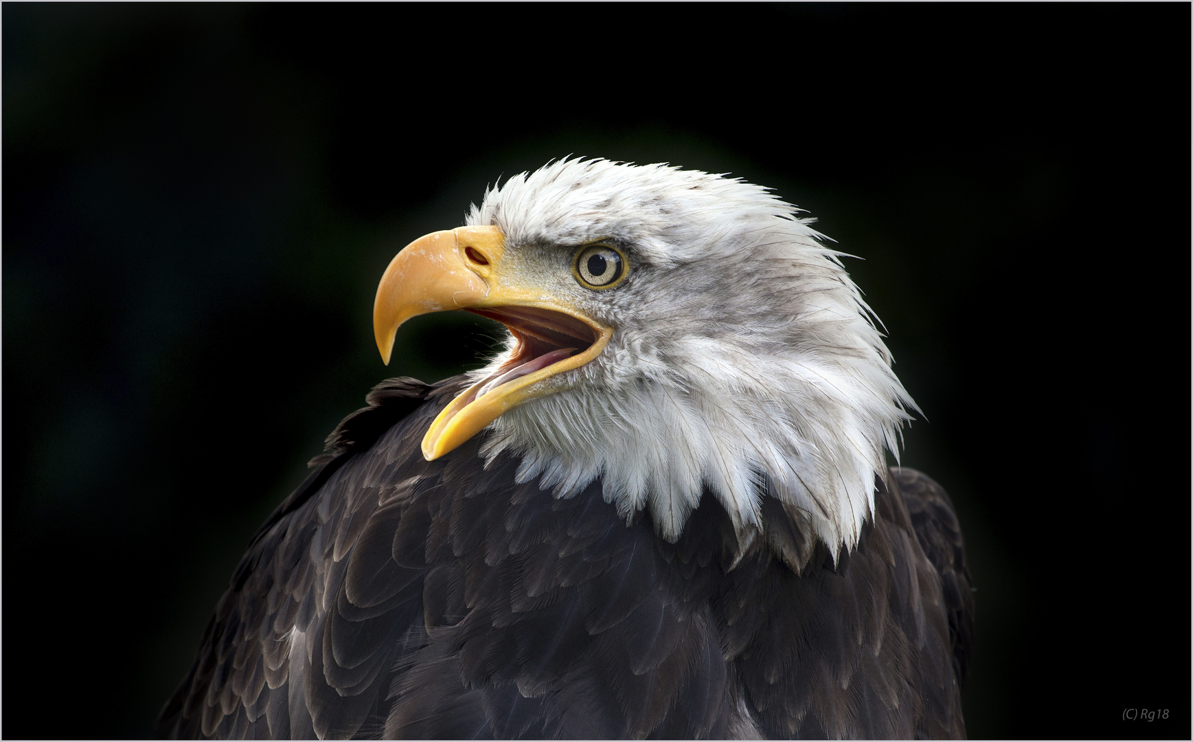 eagleeye Foto & Bild spezial, natur, emotionen Bilder auf