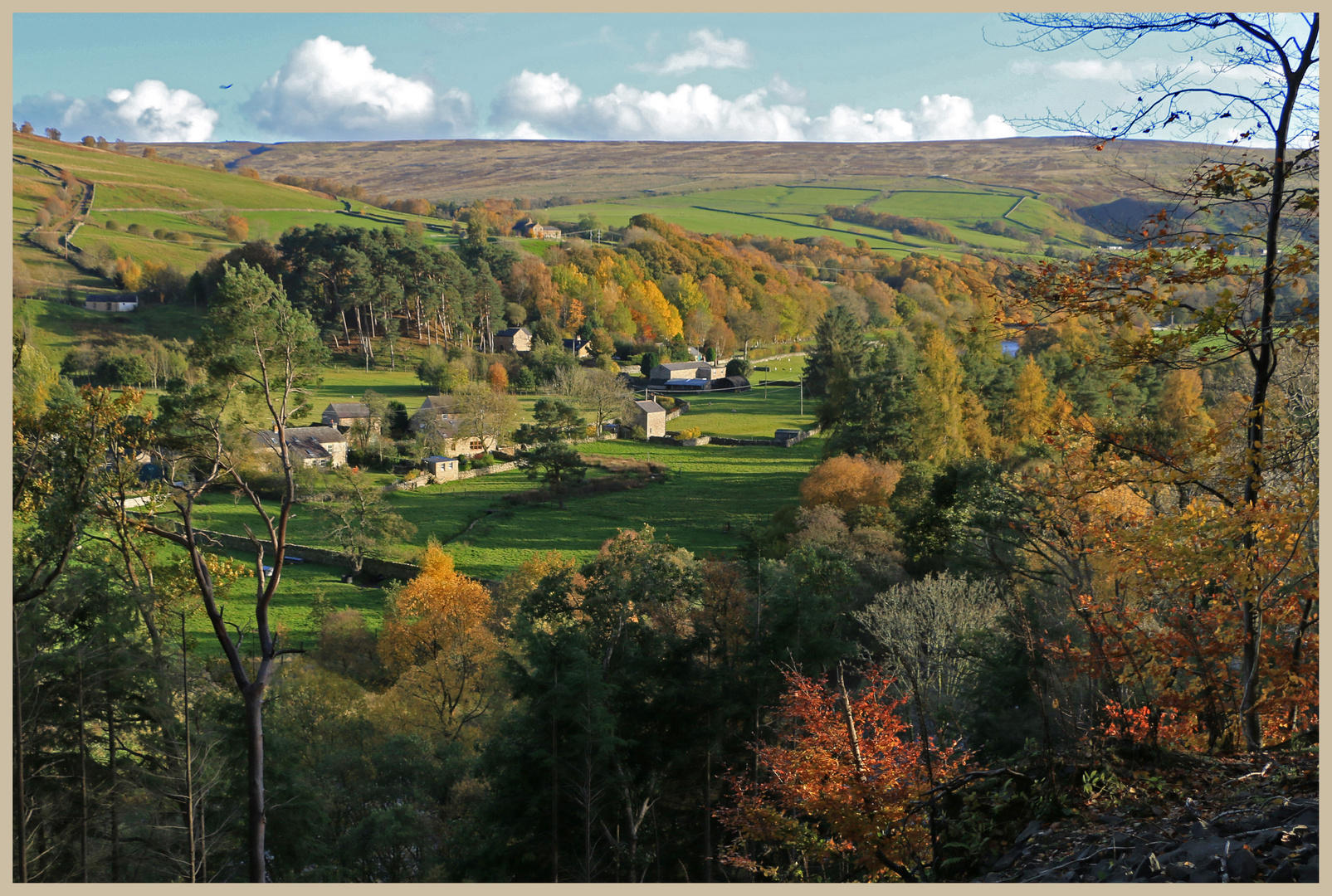 Eals from the south tyne way