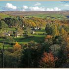 Eals from the south tyne way