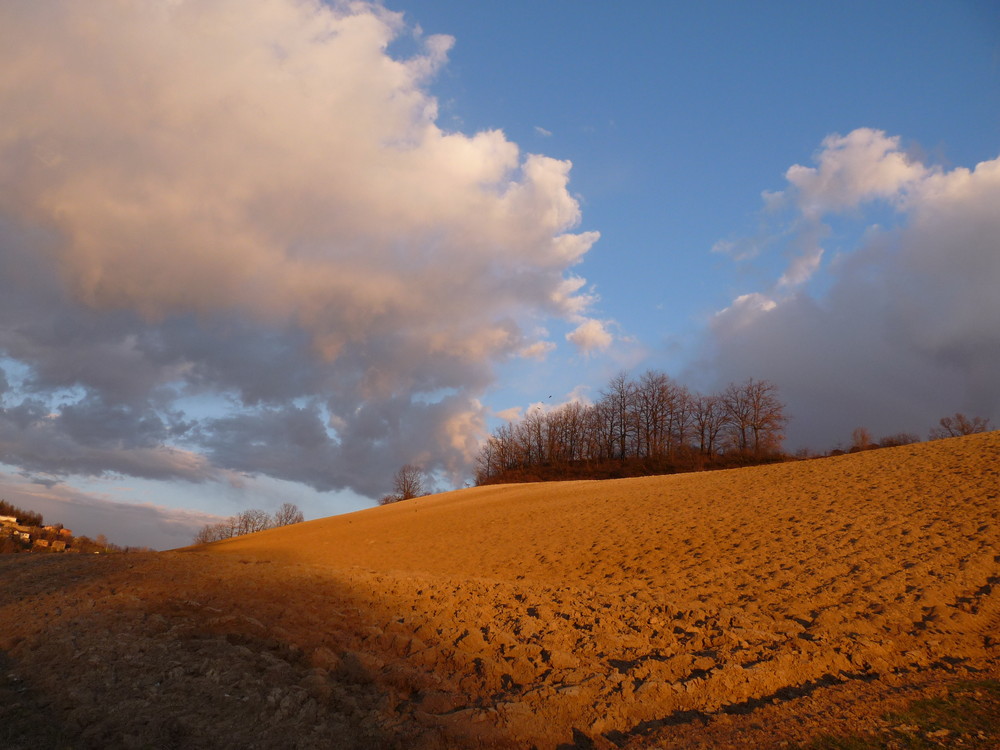 e...ancora un pò ....e sarà primavera