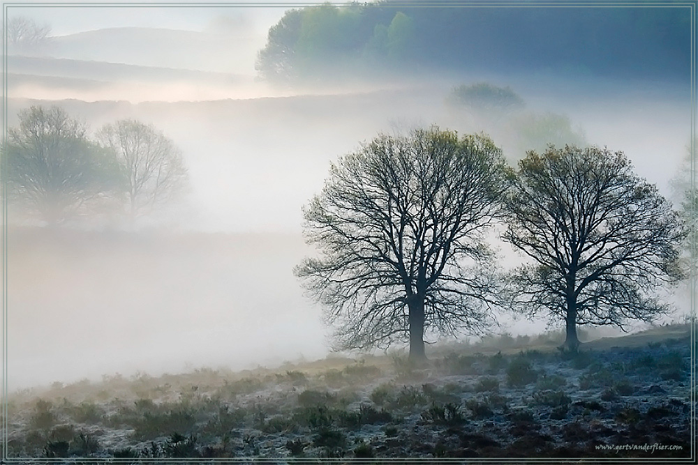 Earley in the morning