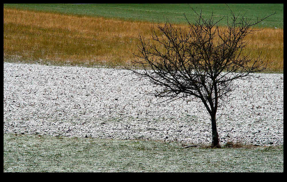 Early autumn