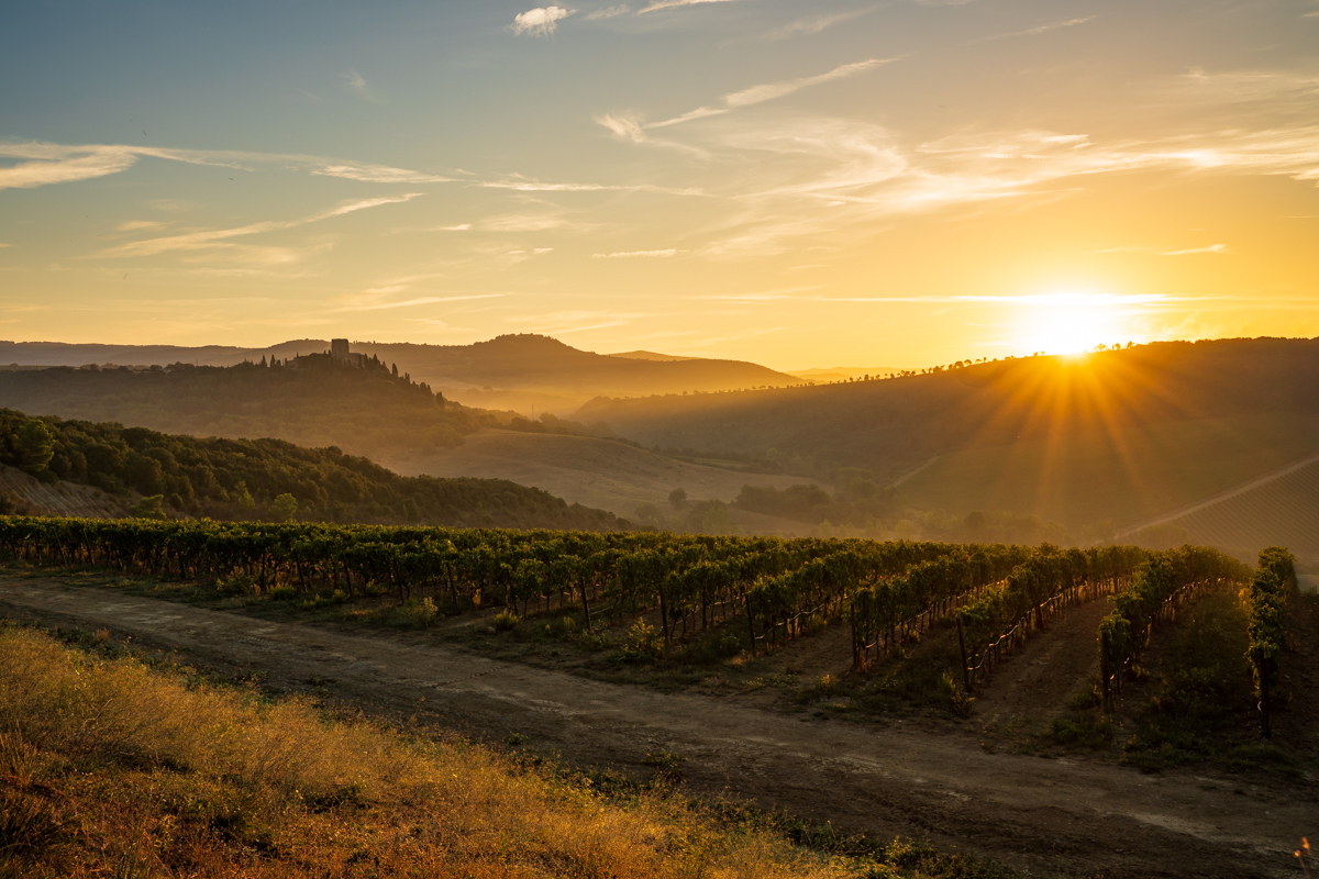 Early Autumn in Montalcino