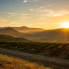 Early Autumn in Montalcino