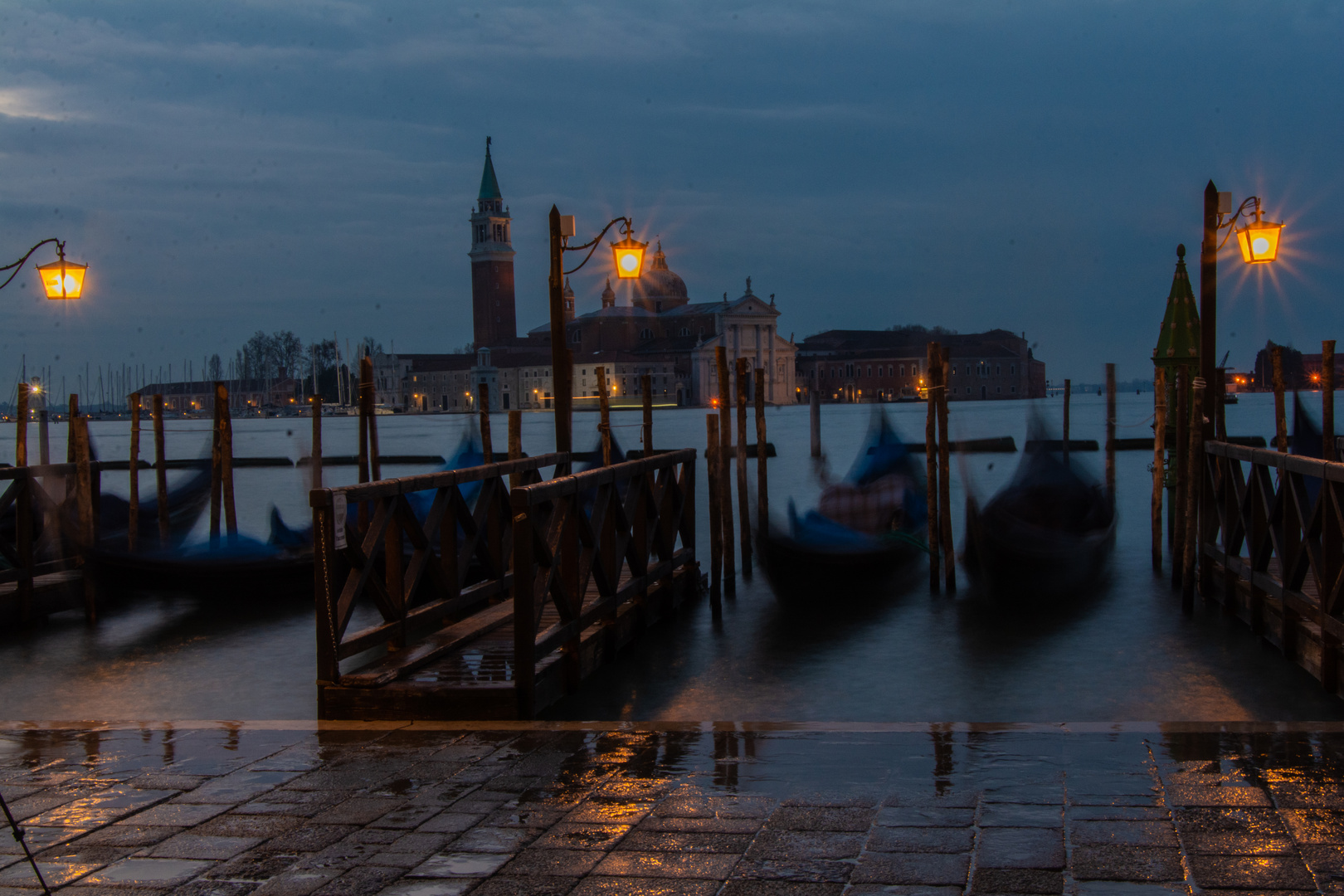 Early Bird in Venedig