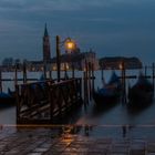 Early Bird in Venedig