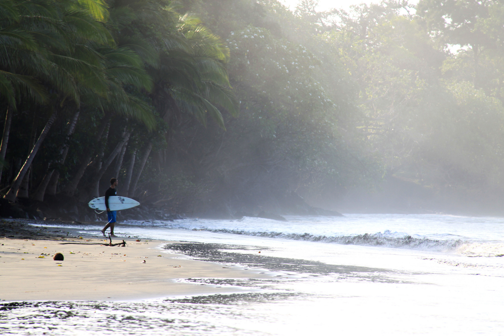 Early Bird Surf