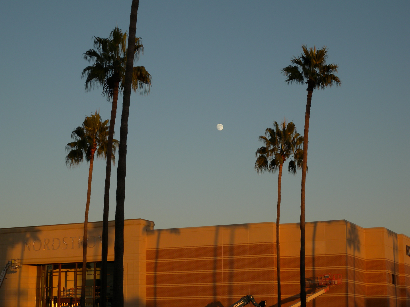 Early Evening - Irvine, CA