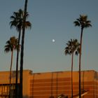 Early Evening - Irvine, CA