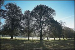 EARLY FROSTY MORNING.