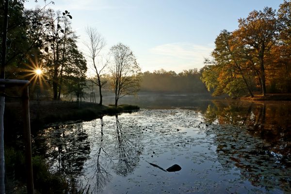 Early in the morning