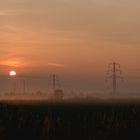 Early in the morning- Niederrhein