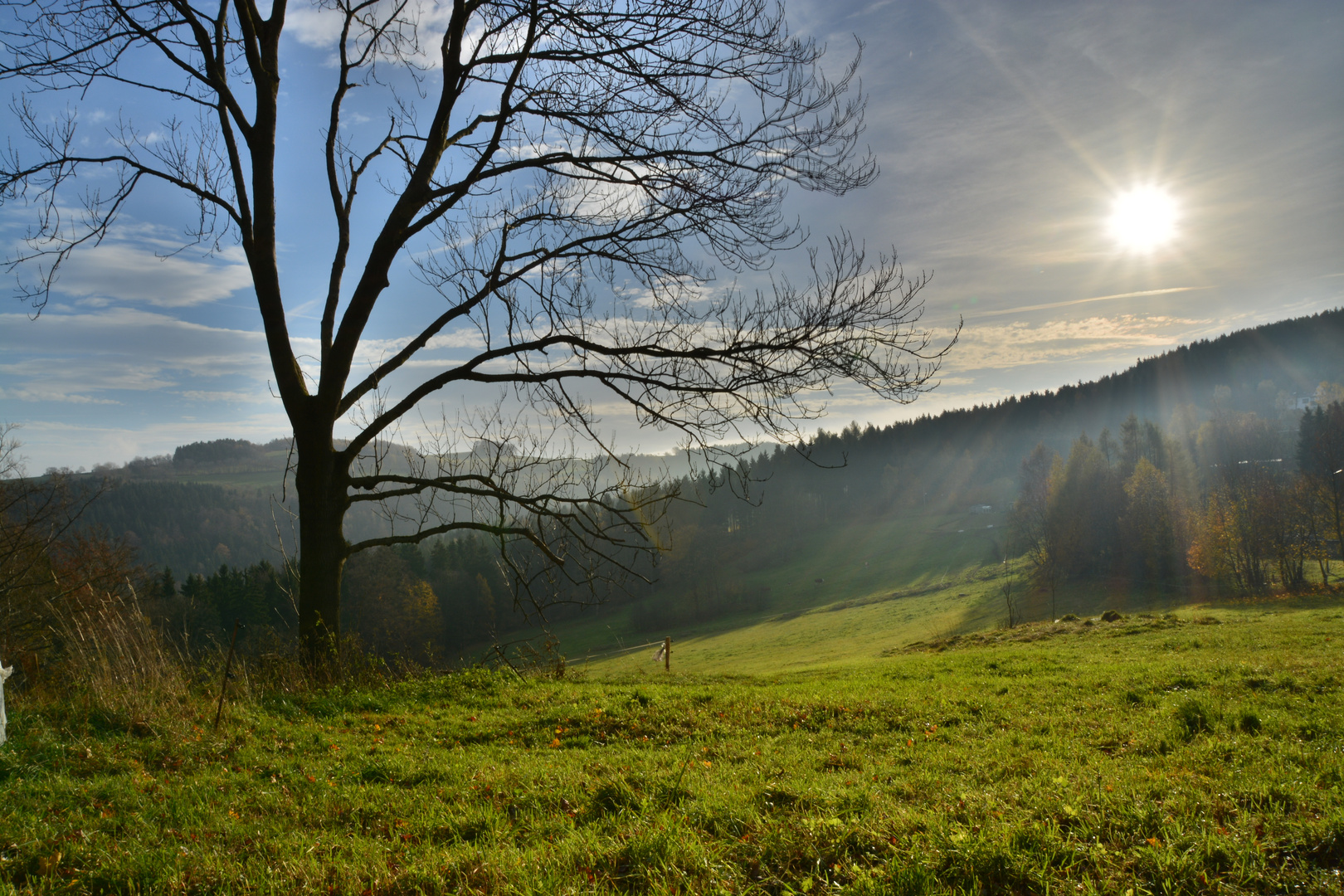 Early in the morning @ The Ore Mountains