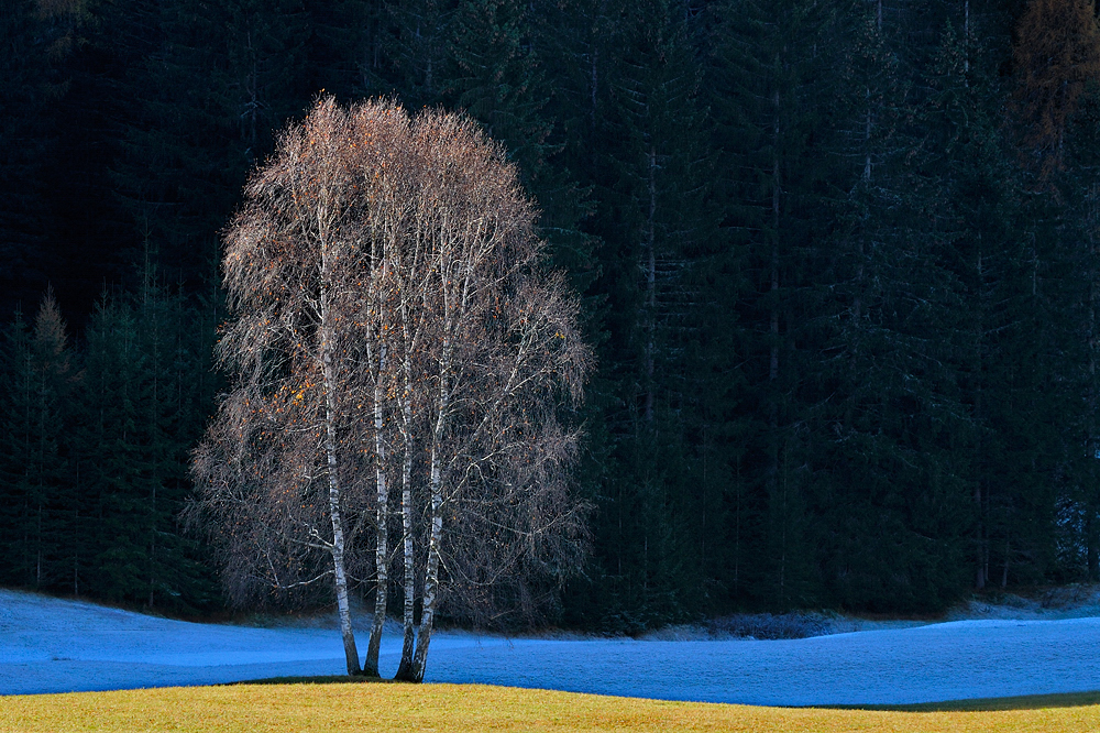 Early light