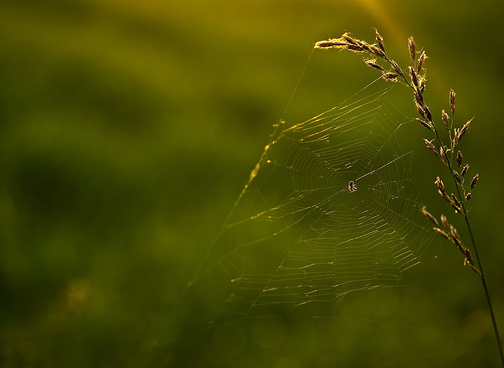 early morning... von Lars.Richter 