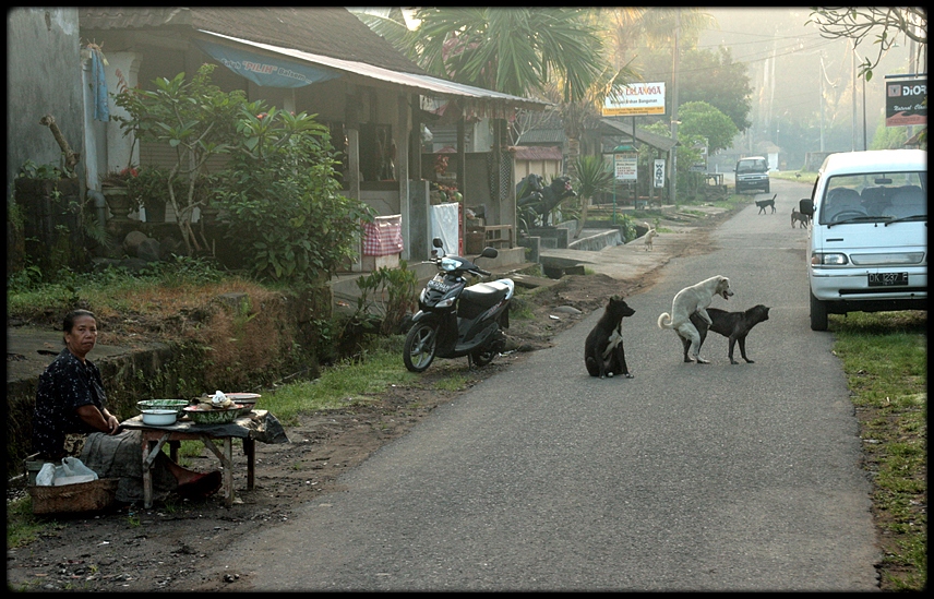 Early morning activities on Bali, the Island of Gods ;-))).