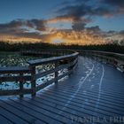 Early Morning at Anhinga Trail