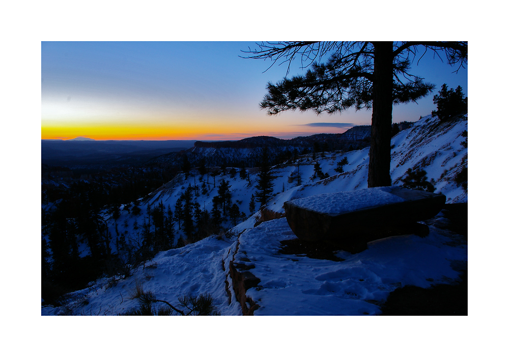 Early Morning at Bryce