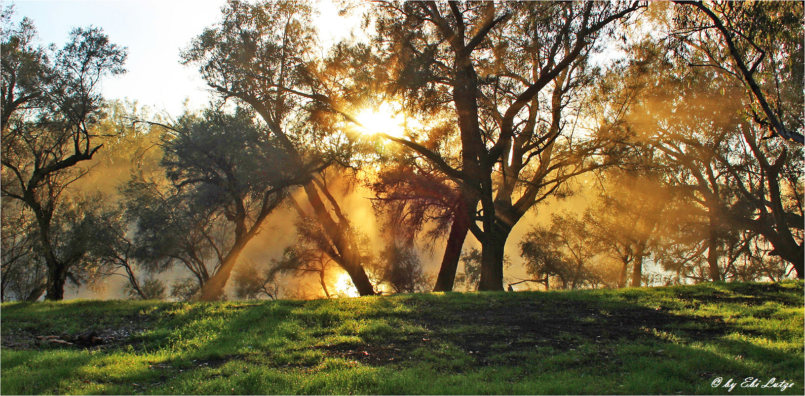 ** Early Morning at the Avon River ** 