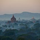 early morning bagan X