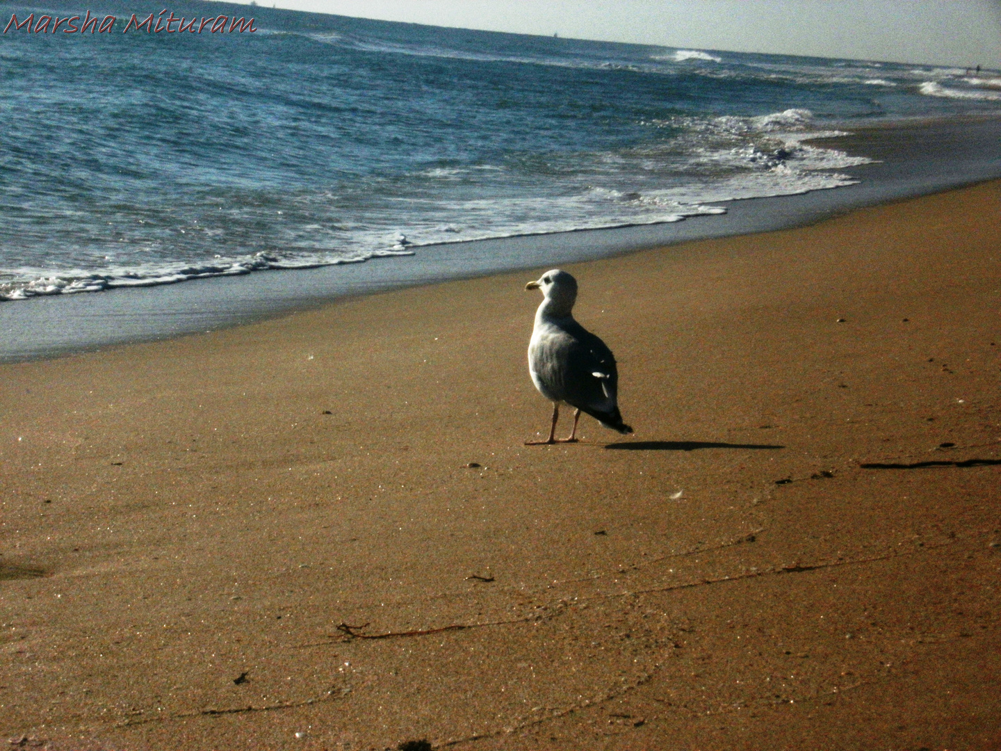 Early Morning Breeze