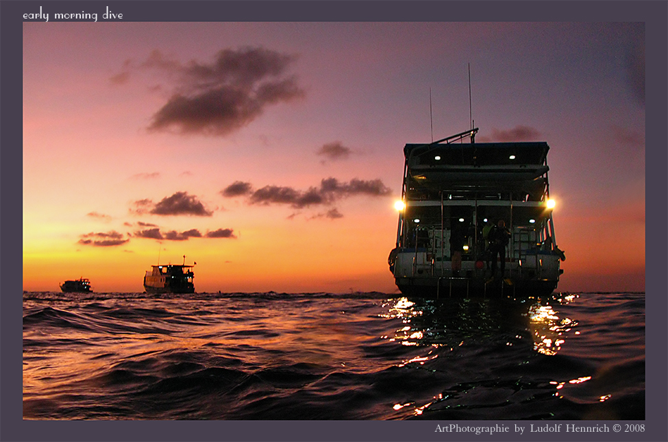 early morning dive