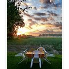 Early morning during the summer holidays (with a family of chairs).