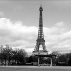 Early morning, Eiffel Tower