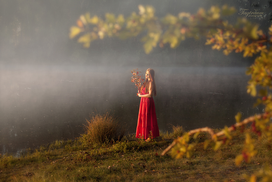 Early Morning Fog