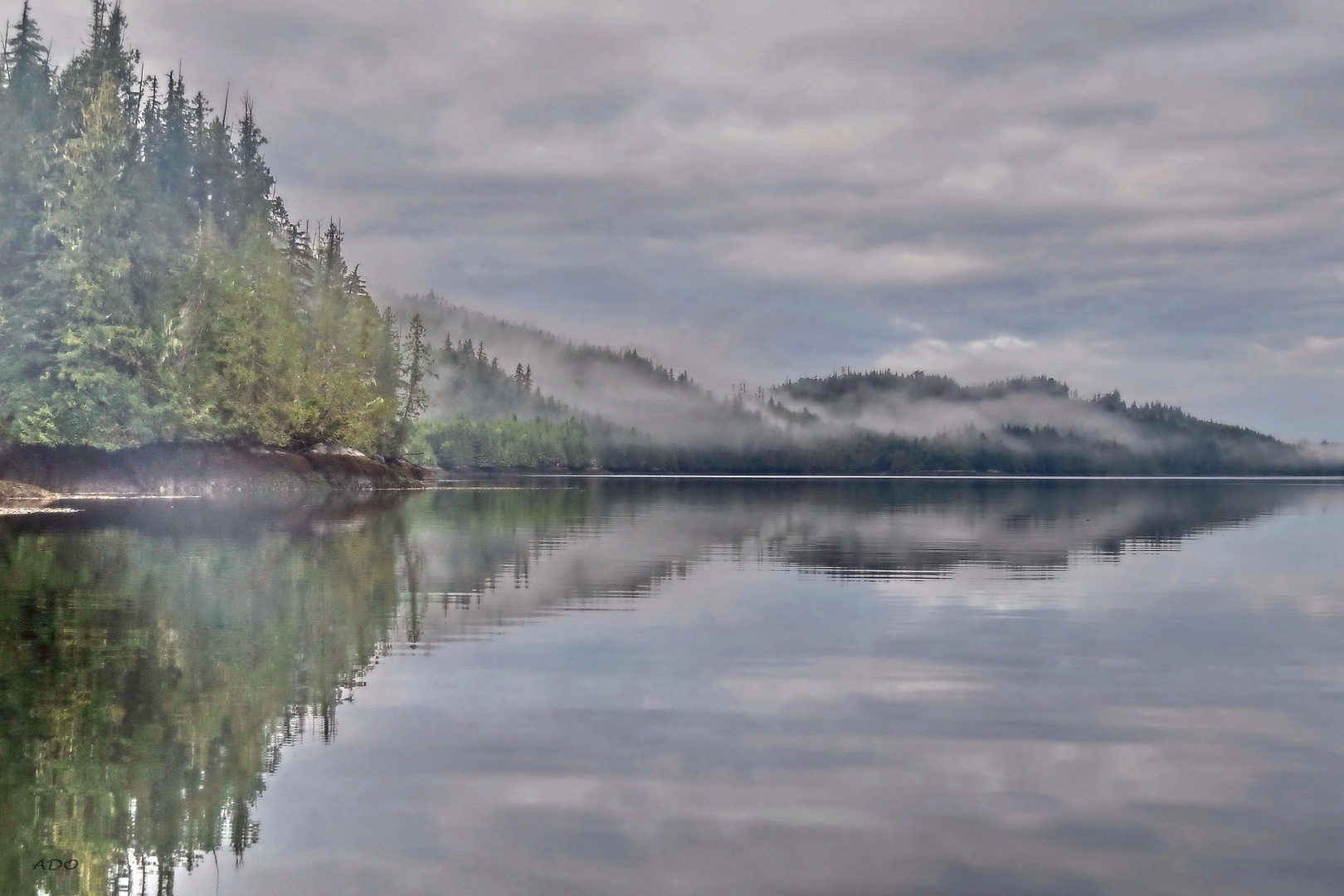 Early Morning Fog