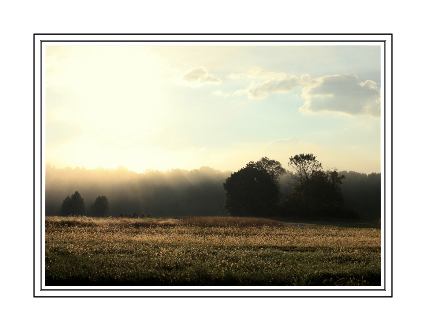 early morning fog