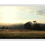 early morning fog