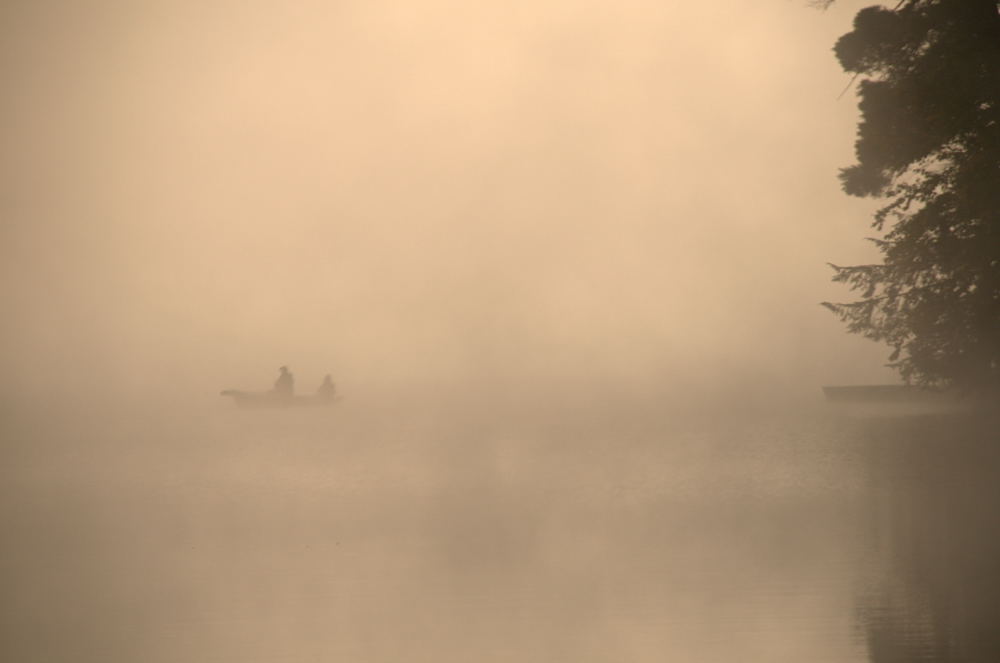 Early Morning Fog