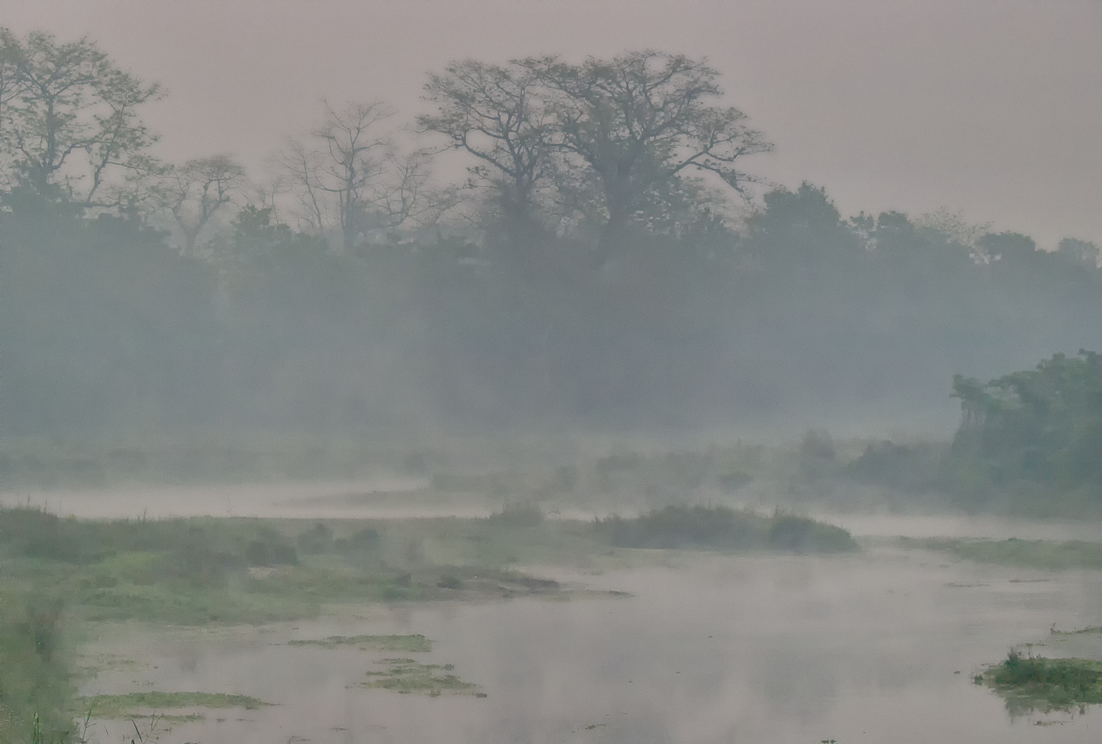 early morning fog