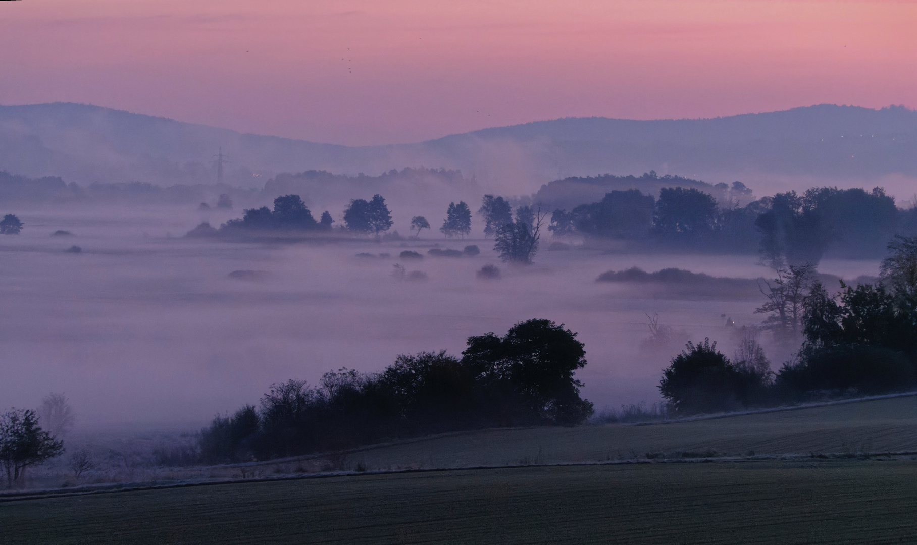 Early Morning Fog