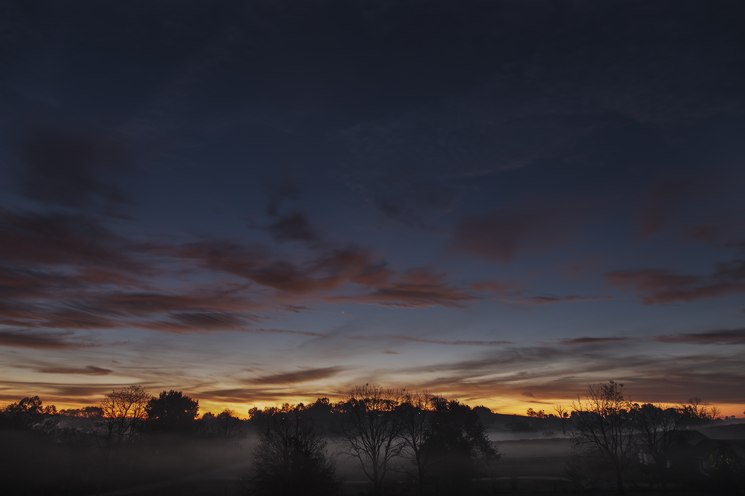 Early Morning Fog