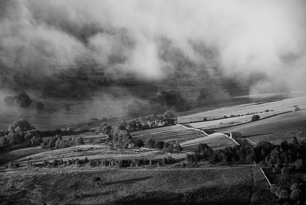 early morning fog