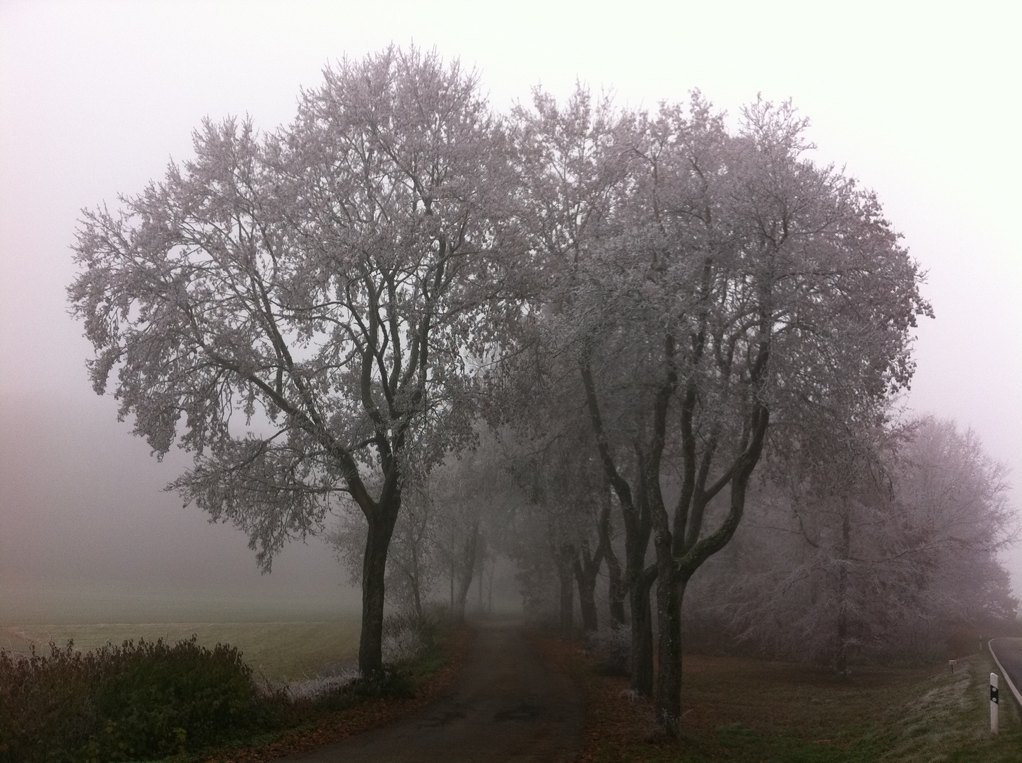 Early morning, früher Morgen, Schwäbische Alb - Germany