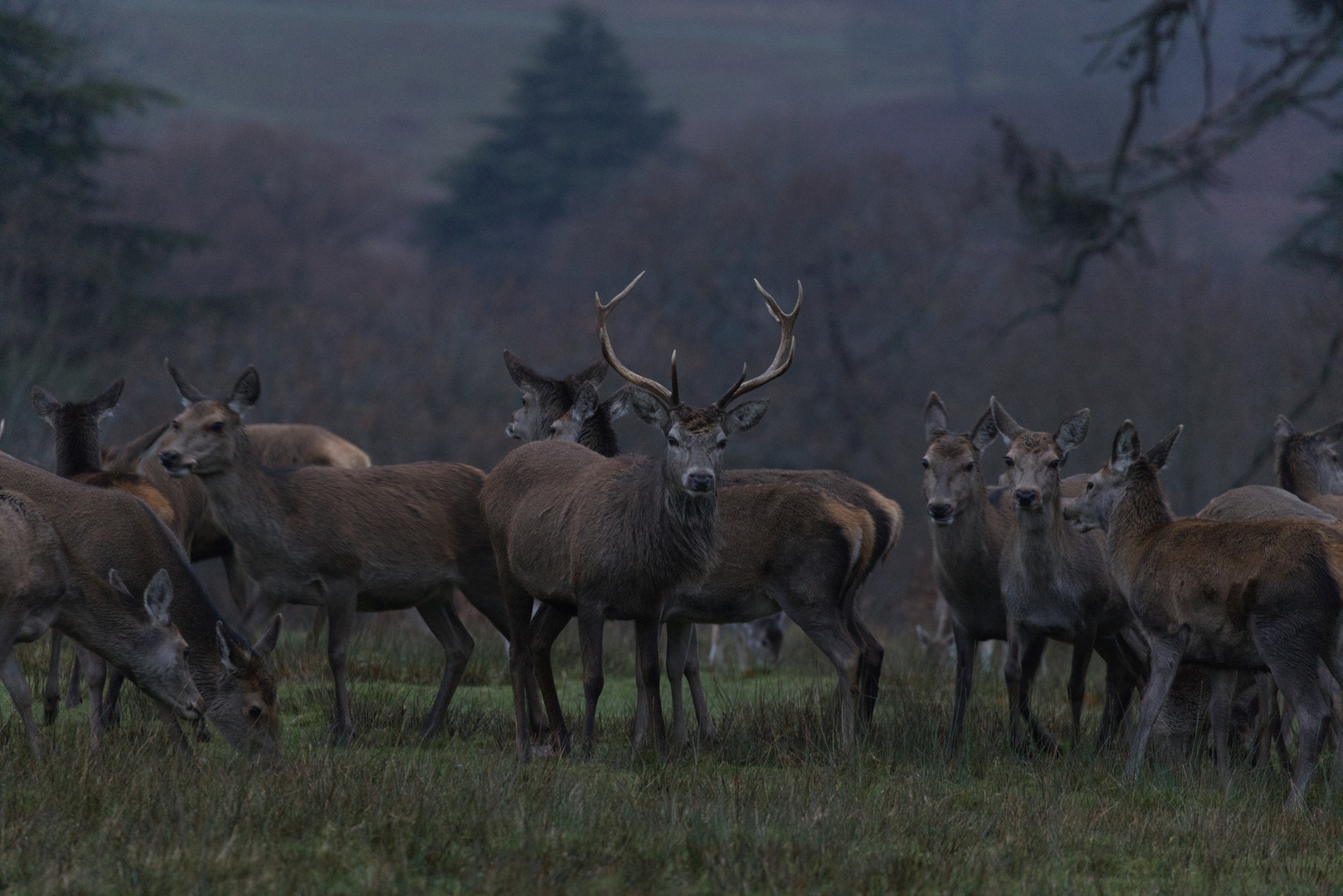 Early Morning gathering