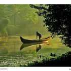 early morning in Kumarakom