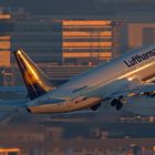 Early Morning Lufthansa Departure