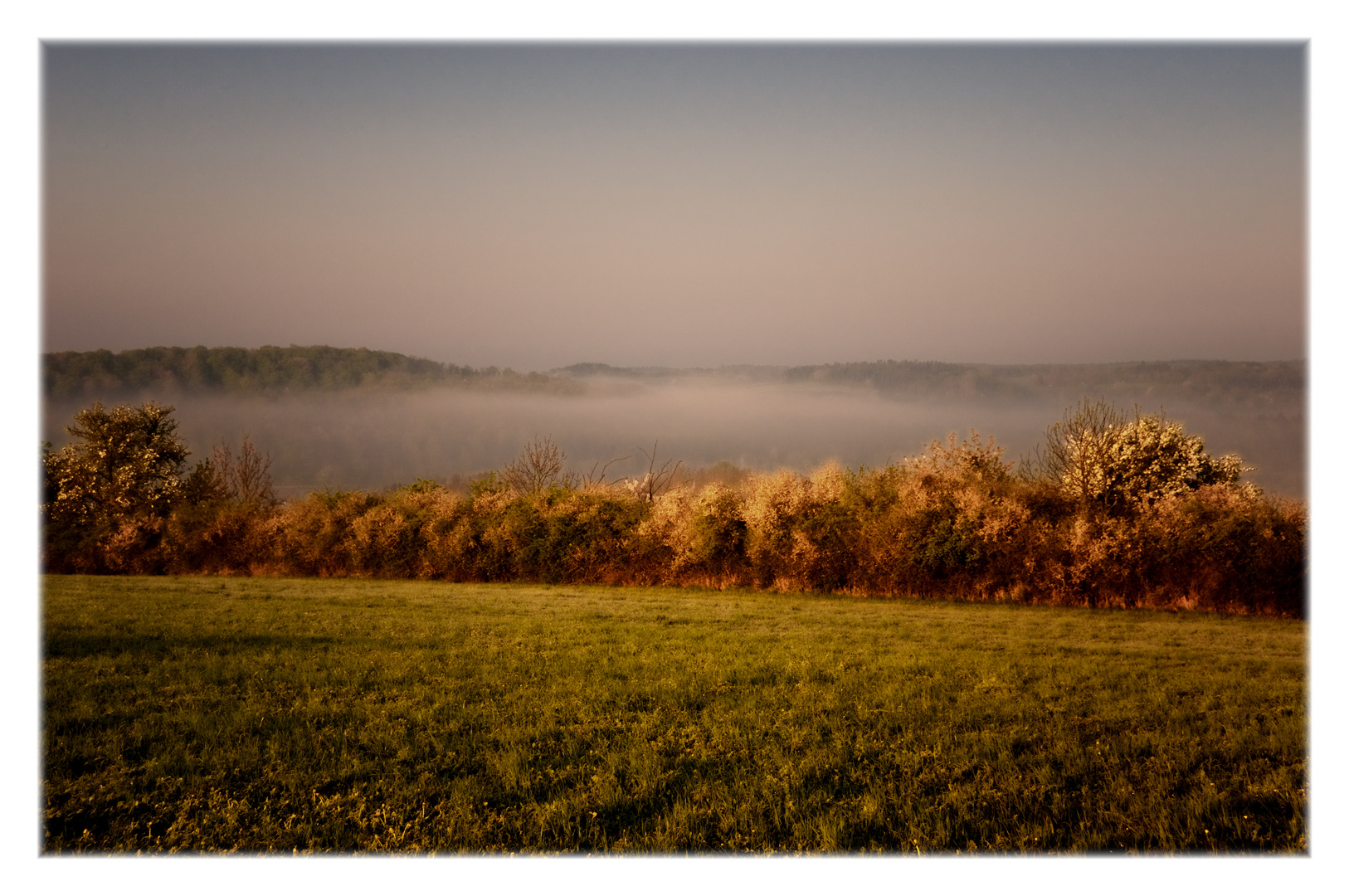 early morning mist