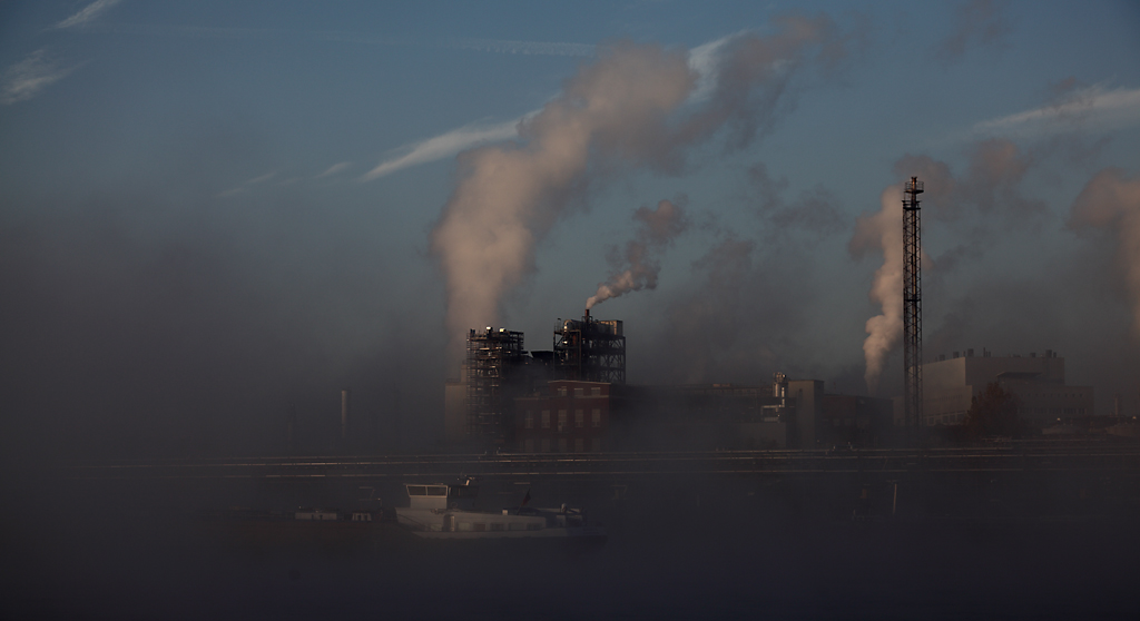 early morning mist