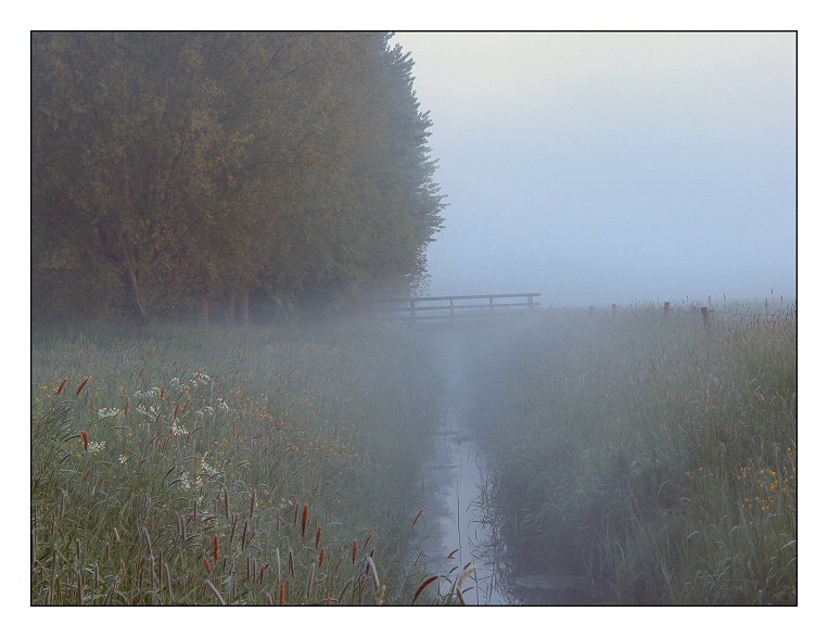 Early-morning mist (Bavel)