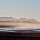 Early Morning on Long Beach