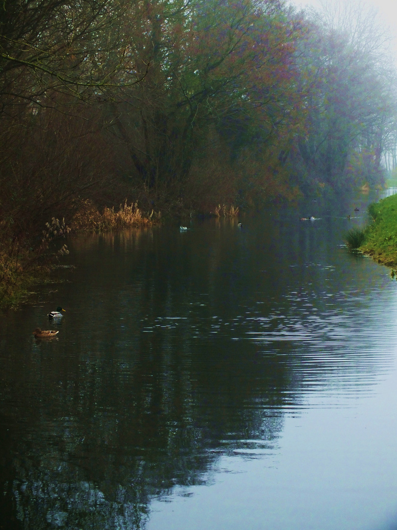 Early morning on the Canal