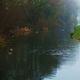 Early morning on the Canal