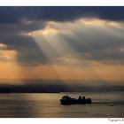 Early morning Palma harbour